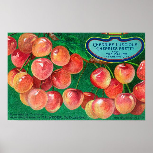 Poster Cerejas de Cherry CityThe Dalles, OR (Frente)