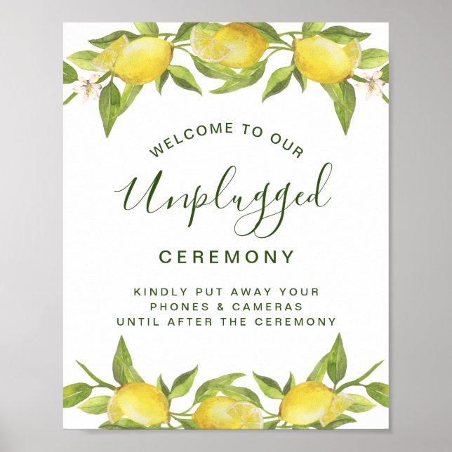 Poster Cerimônia de Casamento sem Dispositivos Lemons Blo (Frente)