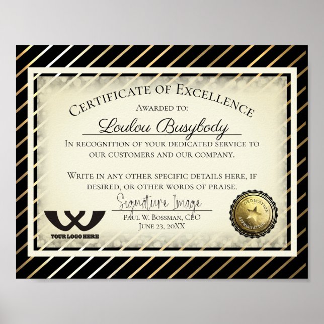 Poster Certificado de excelência do prêmio voluntário de  (Frente)