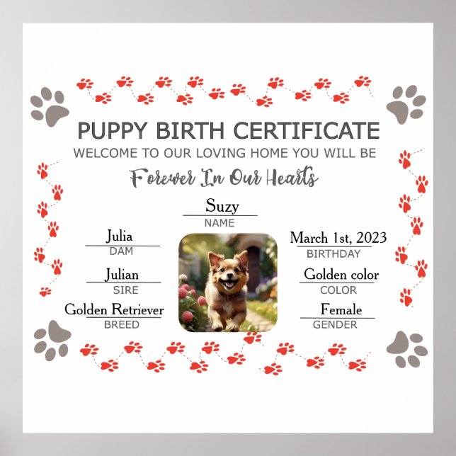 Poster Certificado de Nascimento de Puppy Personalizado (Frente)