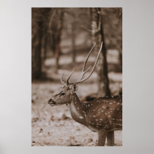 POSTER CERVEJA COM ANTLERS