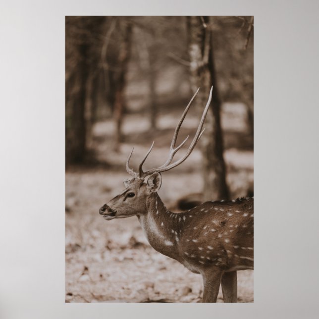 POSTER CERVEJA COM ANTLERS (Frente)