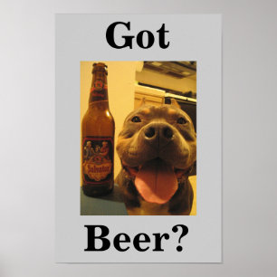 Poster Cerveja obtida?