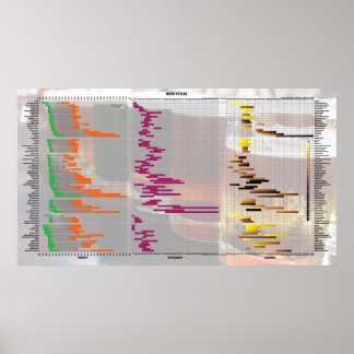 Póster Cerveja pelos números - estilos