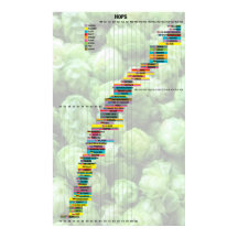 Cerveja pelos números - Saltos