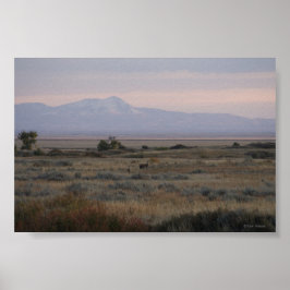 Poster Cervo-de-cauda-branca D10 Sweet Grass Hills