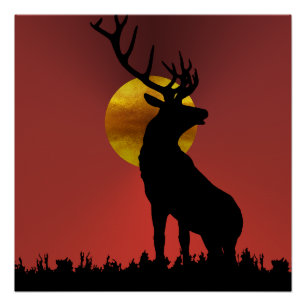 Póster Cervo Majestoso de Chifres à Luz Dourada do Sol