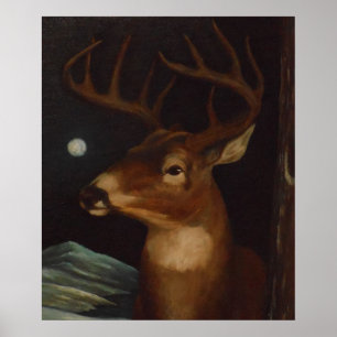 Póster Cervos de Whitetail no luar