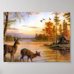 Póster Cervos no lago