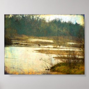 Póster Cervos no Platte River perto de Kearney, Nebraska