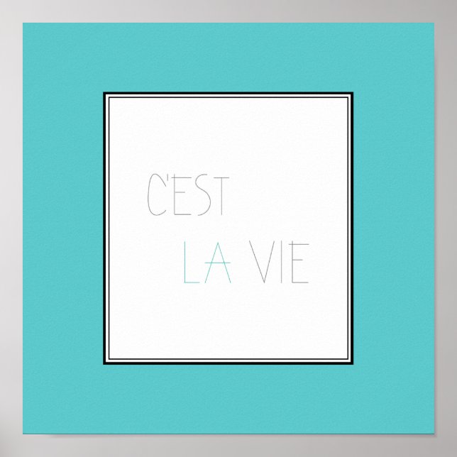 Póster C'est La Vie - Essa é a vida (Frente)