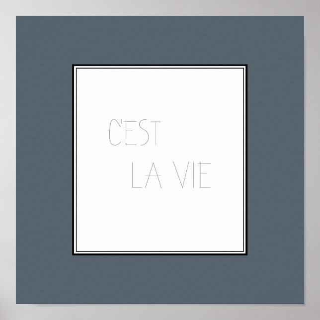 Poster C'est La Vie - Essa é a vida (Frente)