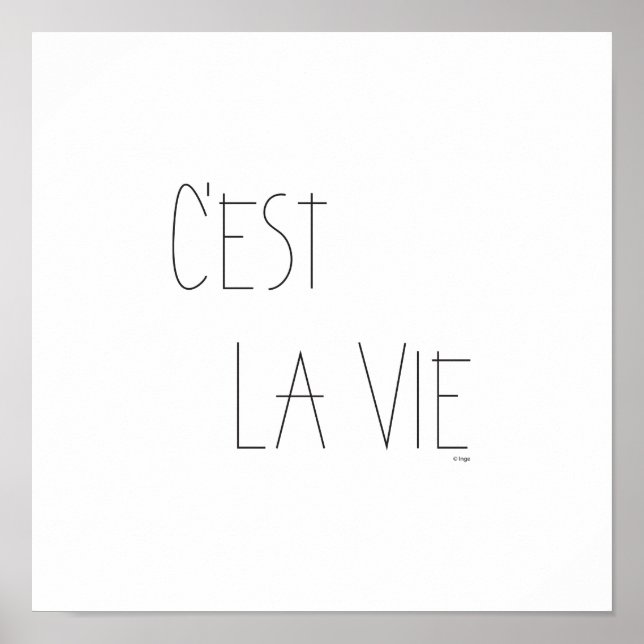 Poster C'est La Vie - Essa é a vida - Francês (Frente)
