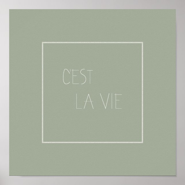Poster C'est La Vie - Essa é a vida - Francês (Frente)