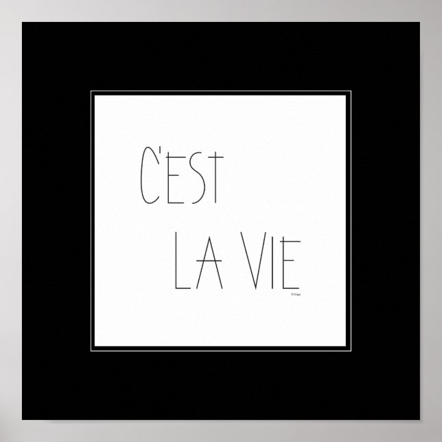 Póster C'est La Vie - Essa é a vida - Francês (Frente)