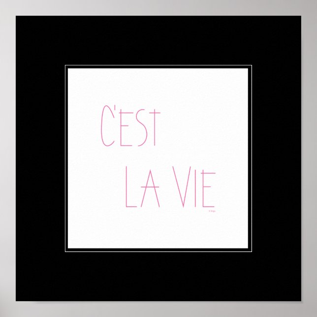 Póster C'est La Vie - Essa é a vida - Francês (Frente)