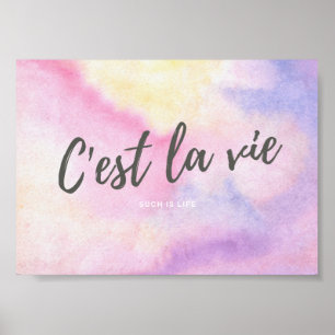 Poster CEST LA VIE French This Is Life