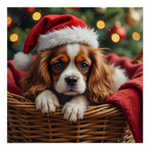 Póster Cesta Aconchegante do Cavalier King Charles Spanie