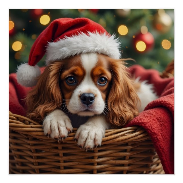 Póster Cesta Aconchegante do Cavalier King Charles Spanie (Frente)