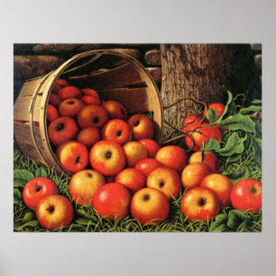 Poster Cesta de Maçãs, pintura de arte,