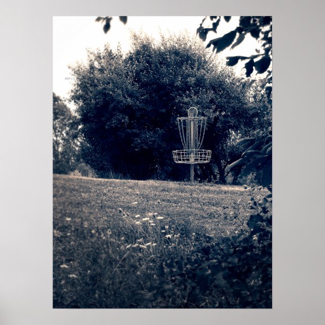 Poster Cesto de Golfe do Disco Frisbee (Frente)