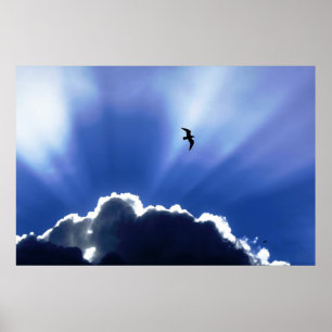 Póster Céu