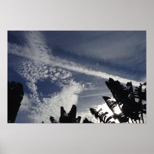 Póster Céu interessante