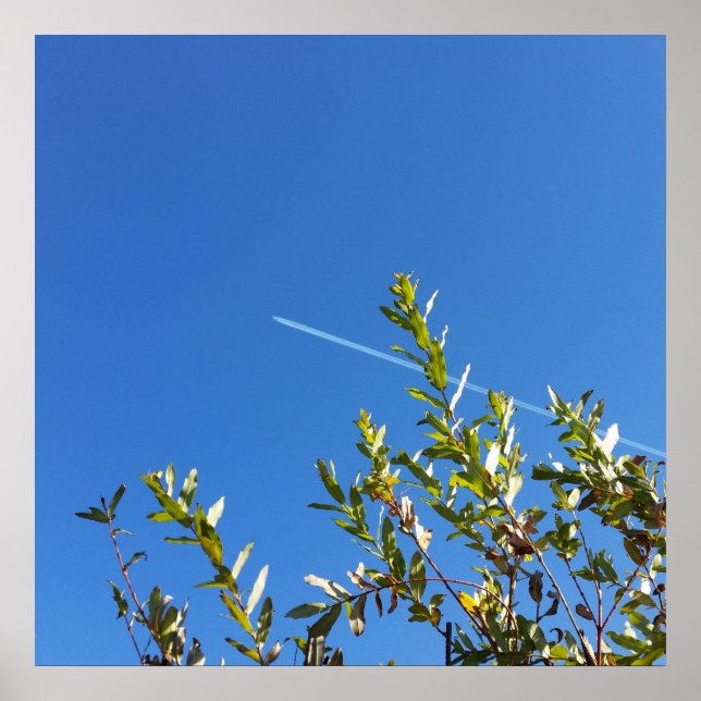 Póster céu limpo (Frente)