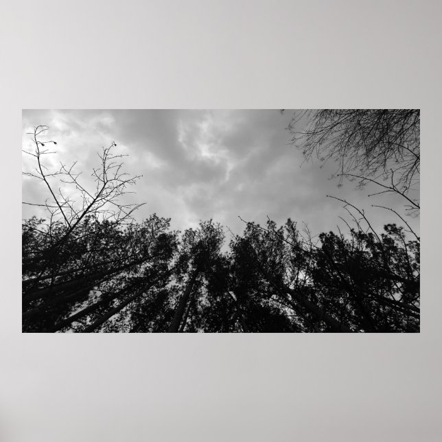 Poster Céu Nublado, (Frente)