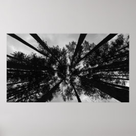 Poster Céu Nublado,