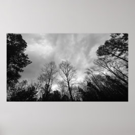 Poster Céu Nublado,