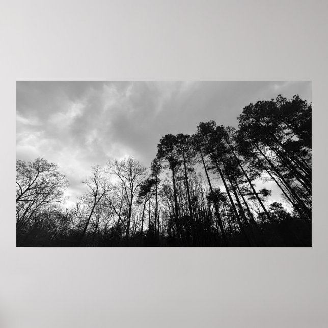 Poster Céu Nublado, (Frente)