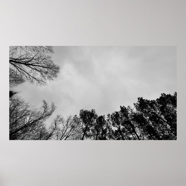 Poster Céu Nublado, (Frente)