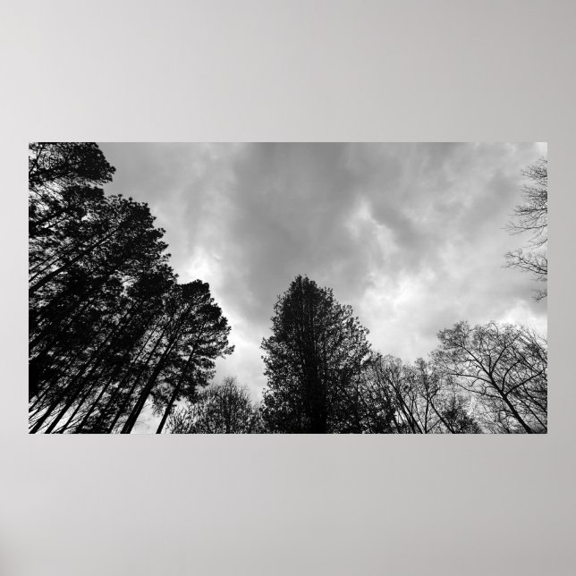 Poster Céu Nublado, (Frente)