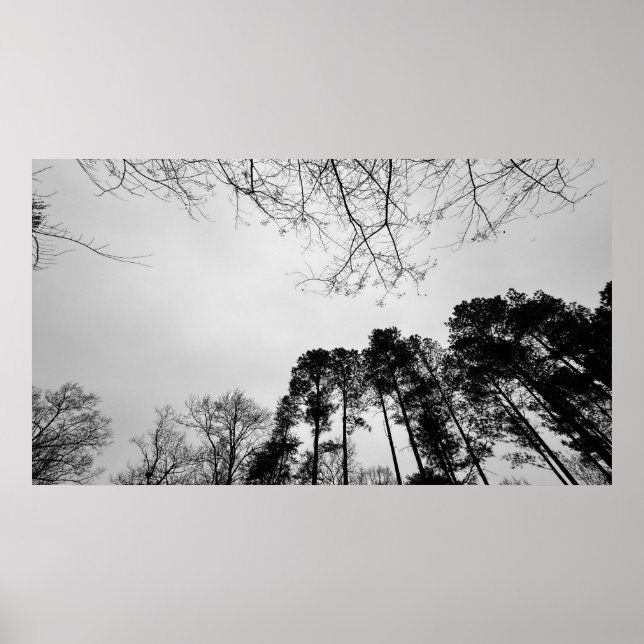 Poster Céu Nublado, (Frente)