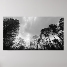 Poster Céu Nublado,