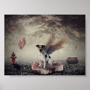 Poster céu para o cão