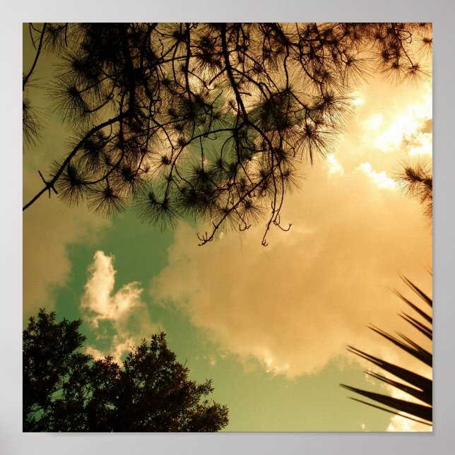 Poster Céu Sênico (Frente)