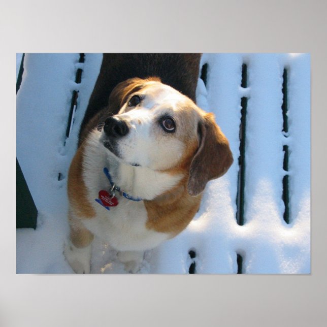 Poster Céu Vinculado (Frente)