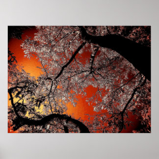 Póster Céus asiáticos