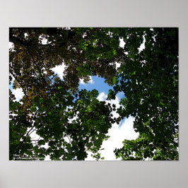 Póster Céus azuis ESPERADOS chegando