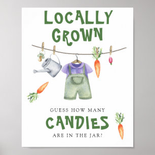 Poster chá de bebê cultivado localmente - adivinhe quanto