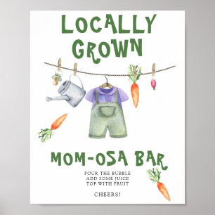 Poster chá de fraldas cultivado localmente - bar Momosa