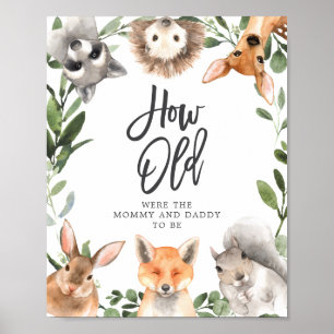 Poster Chá de fraldas Woodland Quantos Anos Eles Tinham