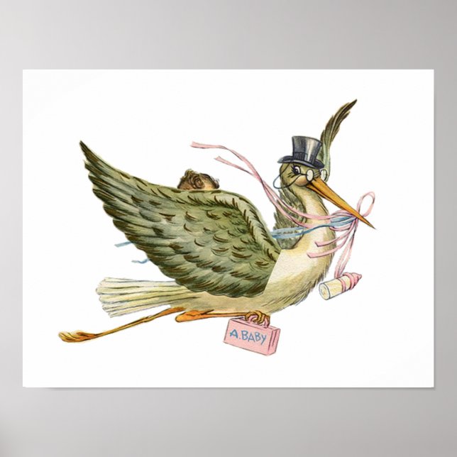 PÓSTER CHÁ DE GAROTA DO STORK BABY (Frente)