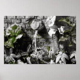 Póster Chá de sangue e Sapo de corda vermelha