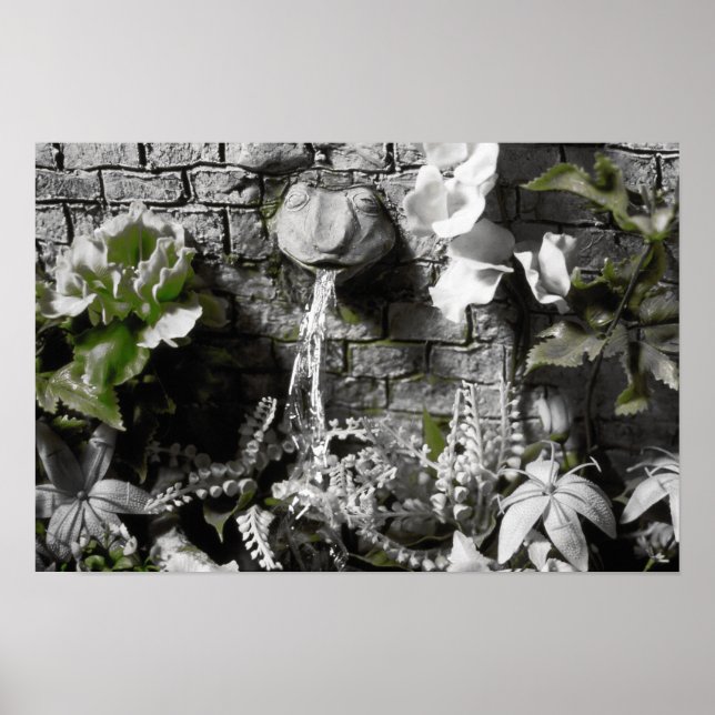 Póster Chá de sangue e Sapo de corda vermelha (Frente)