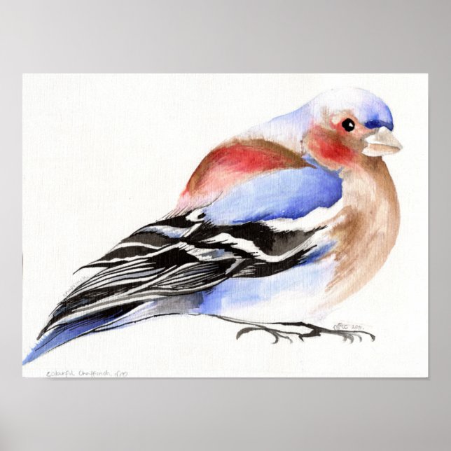 Póster Chaffinch 2011 Colorido (Frente)