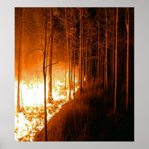 Poster Chama do incêndio violento
