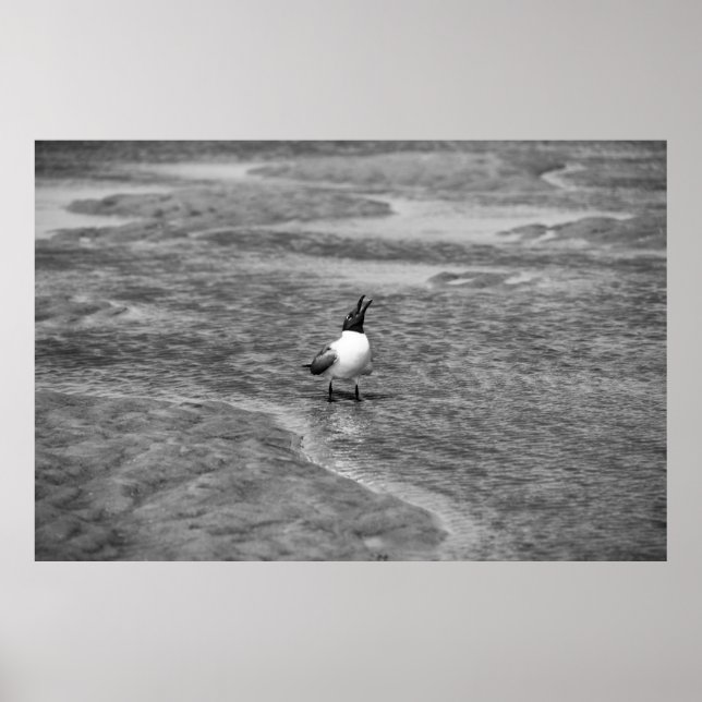 Poster Chamada (Frente)